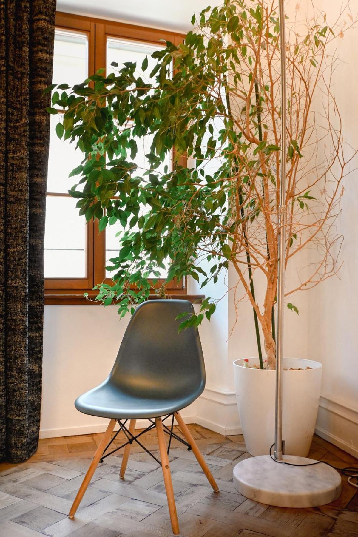 Les Appartements Rue Des Veaux - Quartier Cathedrale Strasbourg Ngoại thất bức ảnh